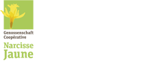 Logo Narcisse Jaune